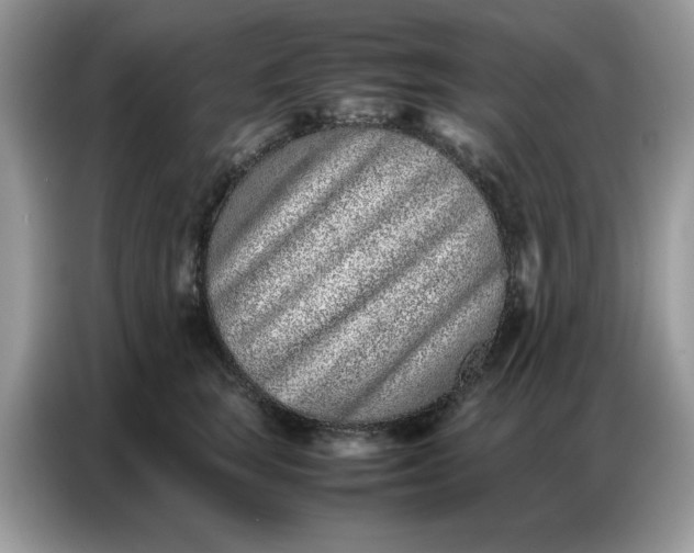 X0000086740663200704271651