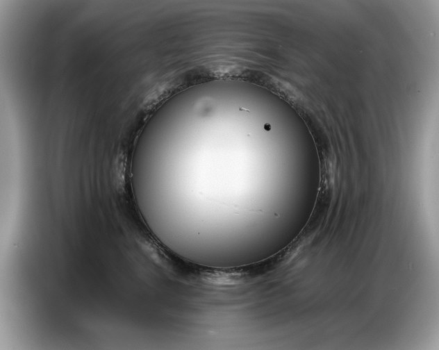 X0000086740664200704271651