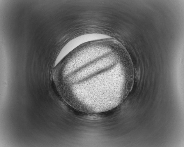 X0000086740666200704271651