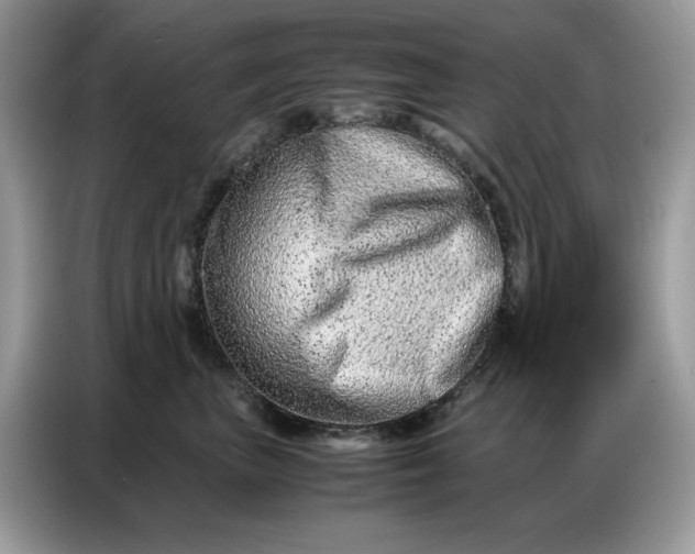 X0000086740667200704271651