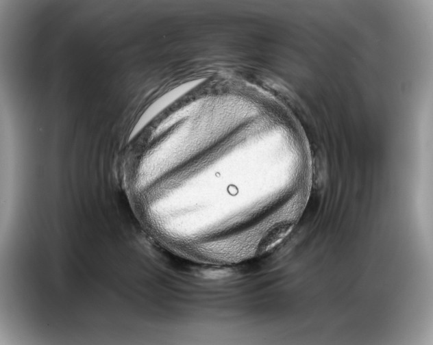 X0000086740669200704271651