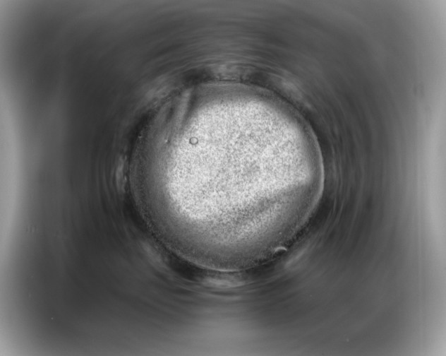 X0000086740671200704271651