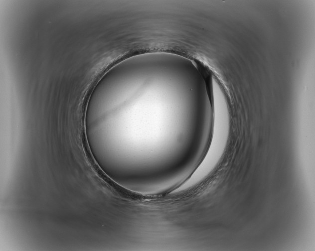 X0000086740673200704271651