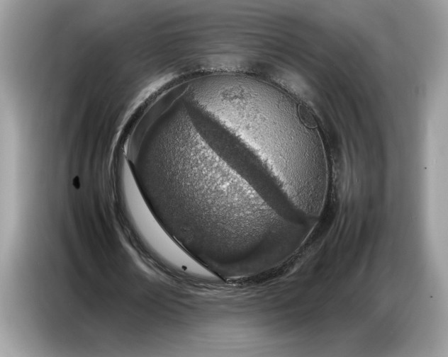 X0000086740674200704271651