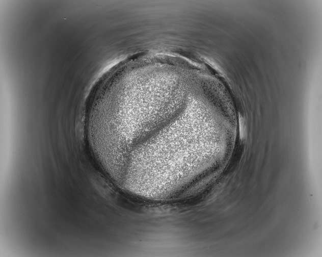 X0000086740675200704271651