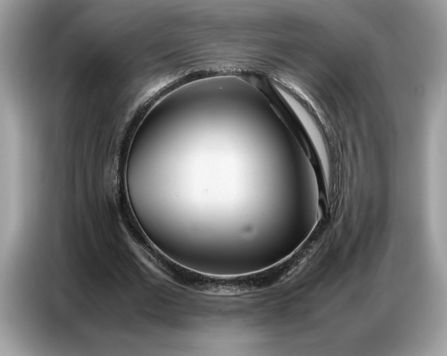 X0000086740677200704271651