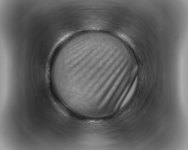 X0000086740680200704271651