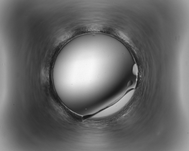 X0000086740681200704271651