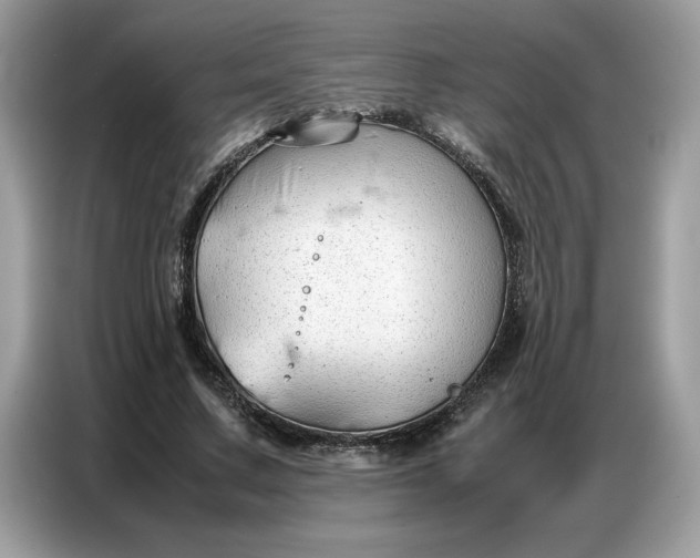 X0000086740683200704271651