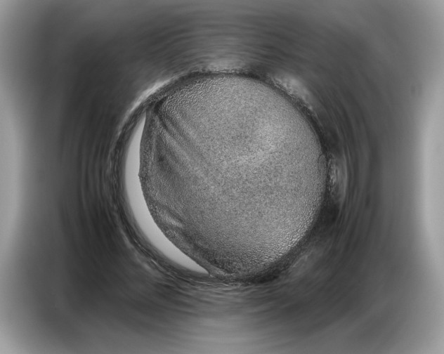 X0000086740684200704271651