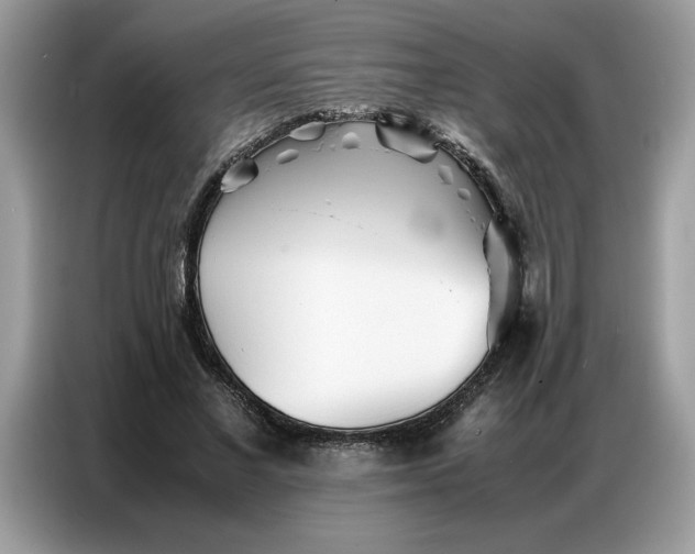 X0000086740685200704271651