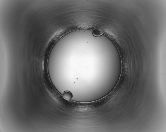 X0000086740686200704271651