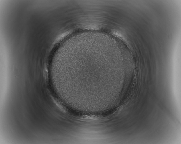 X0000086740688200704271651