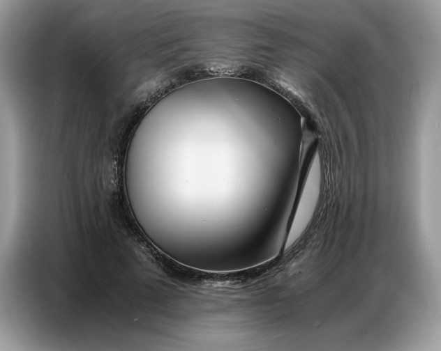 X0000086740689200704271651