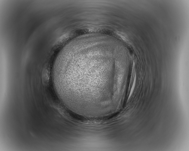 X0000086740691200704271651