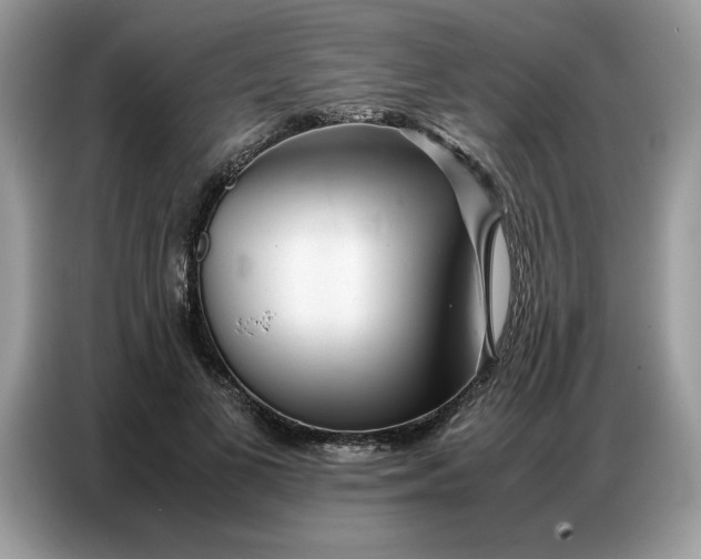 X0000086740693200704271651