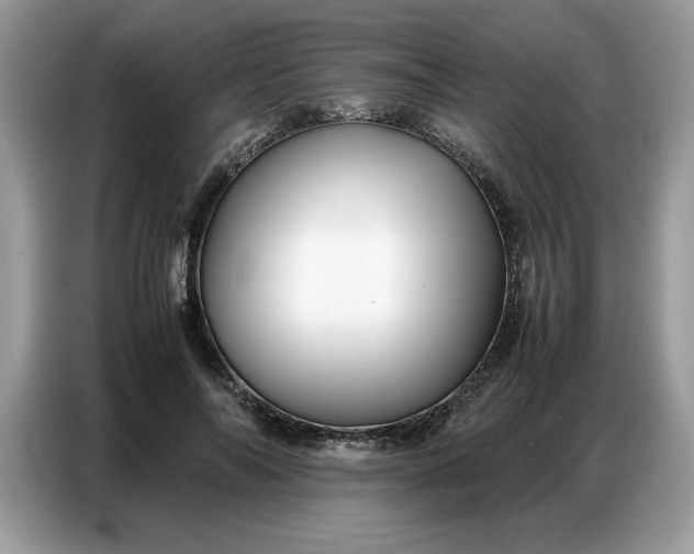 X0000086740694200704271651