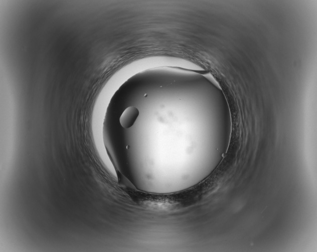 X0000086740695200704271651