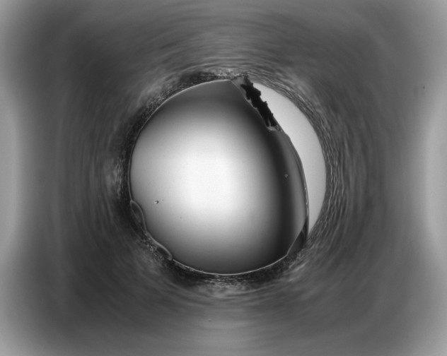 X0000086740697200704271650