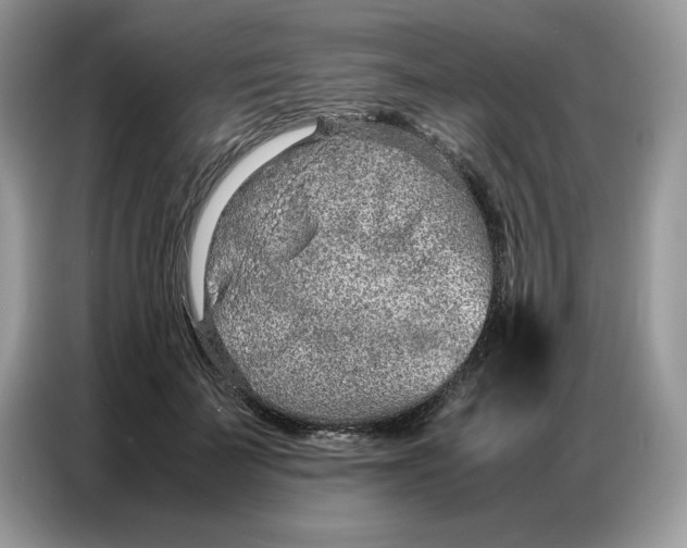 X0000086740699200704271650