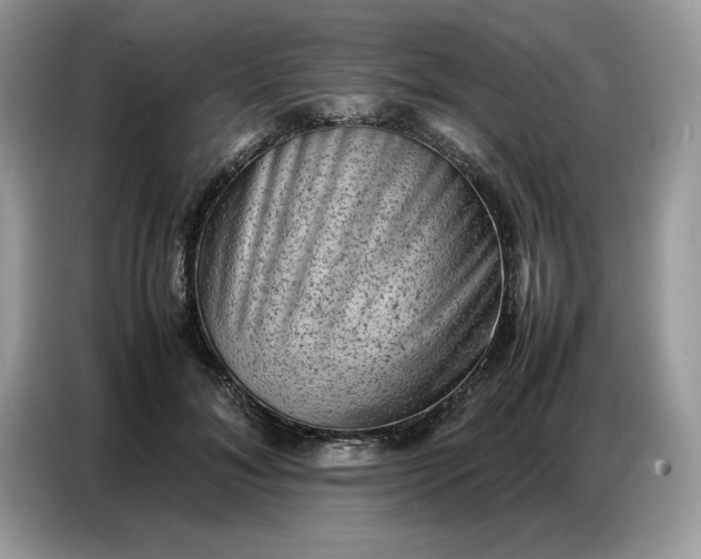 X0000086740700200704271650