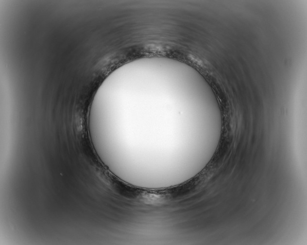 X0000086740706200704271650