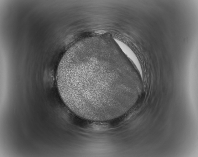 X0000086740707200704271650