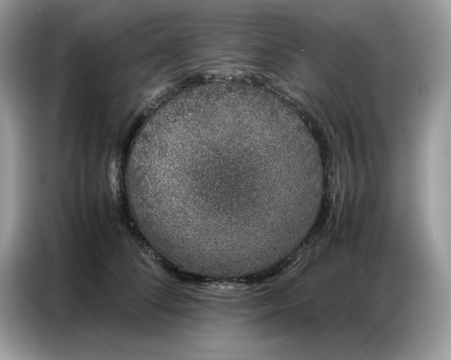 X0000086740708200704271650