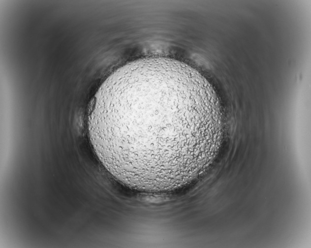 X0000086740709200704271650