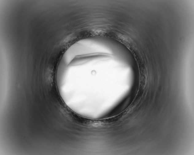 X0000086740710200704271650