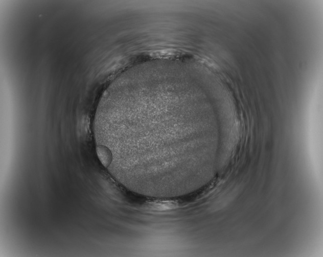 X0000086740711200704271650