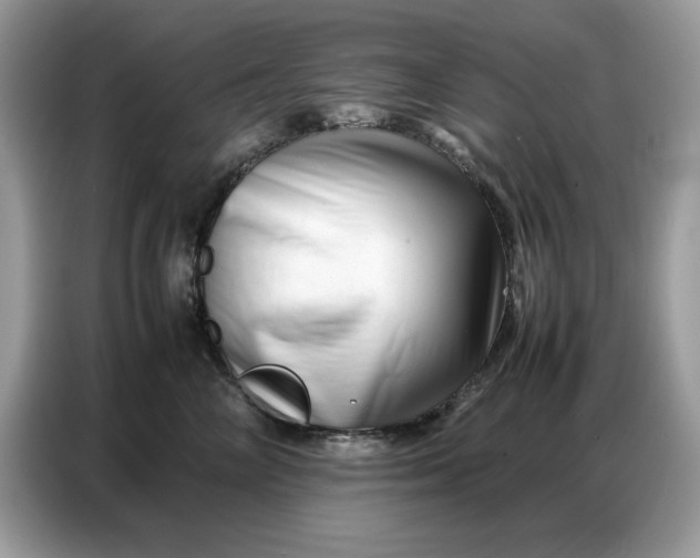 X0000086740714200704271650