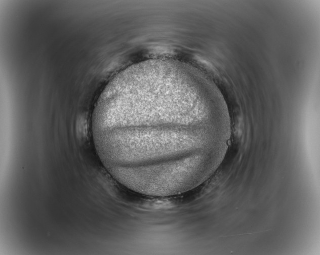 X0000086740715200704271650