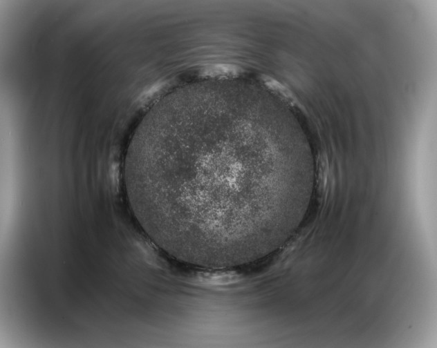 X0000086740716200704271650