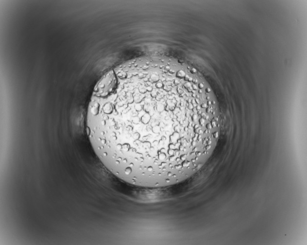 X0000086740717200704271650