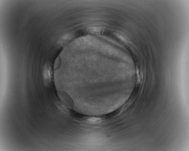 X0000086740718200704271650