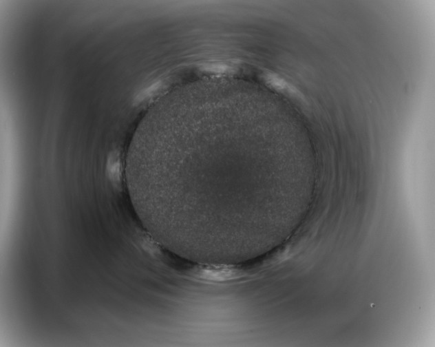 X0000086740720200704271650