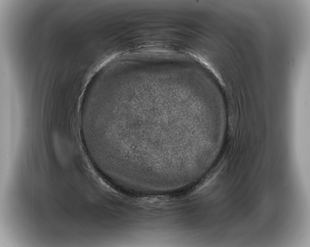 X0000086740721200704271650