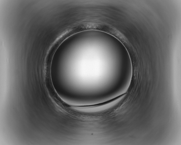 X0000086740722200704271650