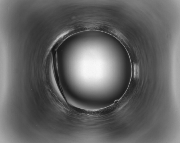 X0000086740723200704271650