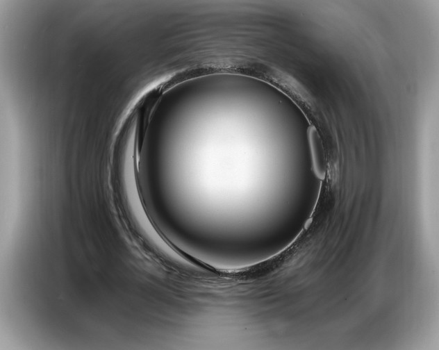 X0000086740724200704271650