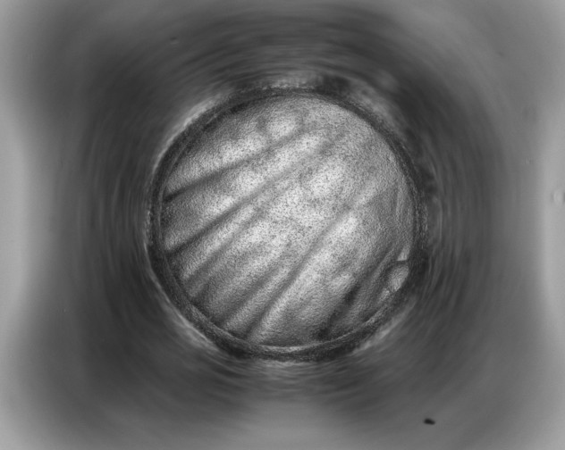 X0000086740725200704271650