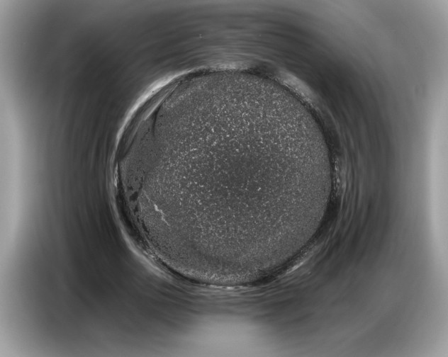 X0000086740726200704271650