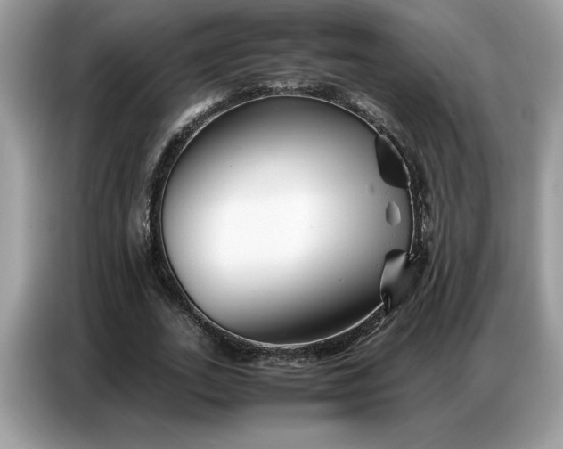 X0000086740727200704271650