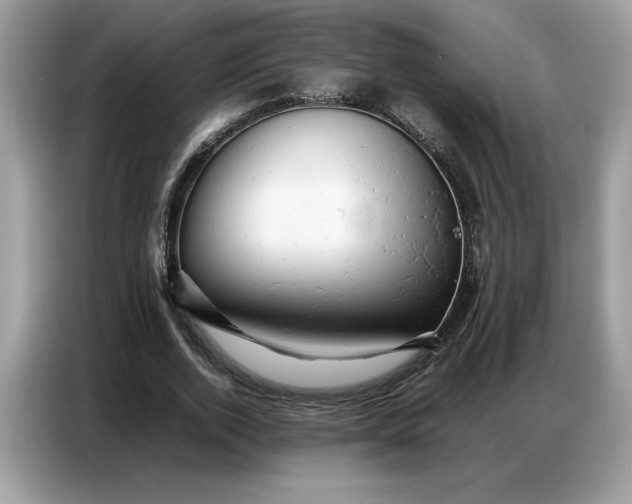 X0000086740728200704271650