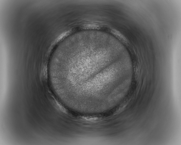 X0000086740729200704271650