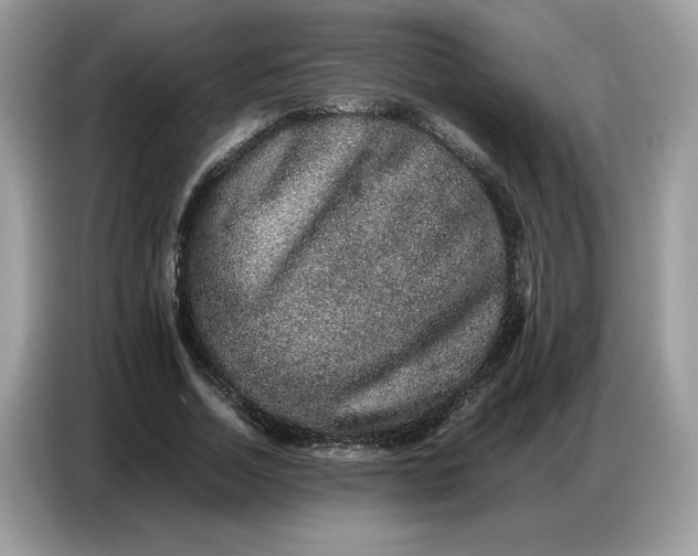 X0000086740730200704271650