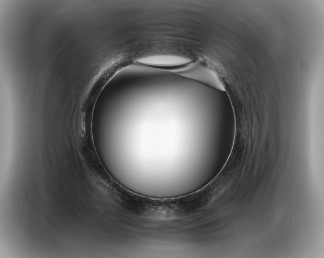 X0000086740731200704271650