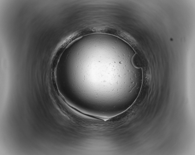 X0000086740732200704271650