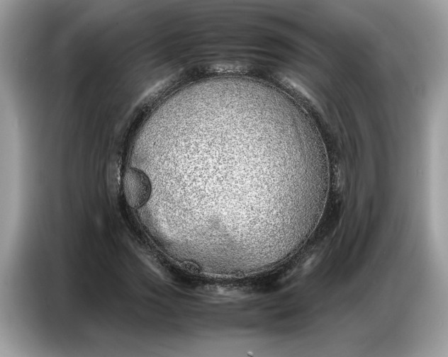 X0000086740733200704271650